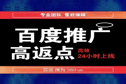 百度SEM竞价推广，案例解析转化率提升秘诀